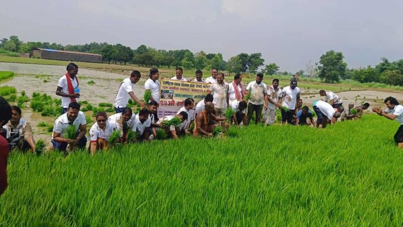 जगरनाथपुर गाउँपालिकाले २२औं राष्ट्रिय धान दिवस  भब्य रुपमा मनायो 