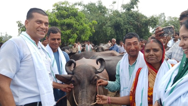 कलैयामा १४० किसानलाई भैंसी वितरण, आत्मनिर्भर कृषि–पशुपालनमा जोड