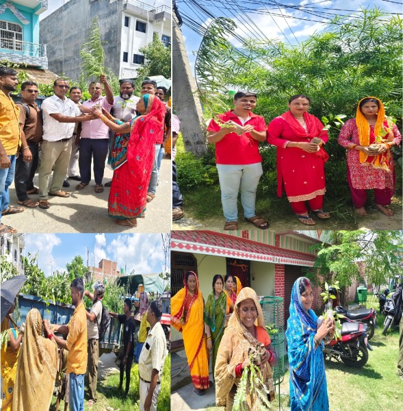 वीरगञ्जको  नगवामामा हरियाली अभियान :  स्थानीयलाई निशुल्क बिरुवा वितरण, संरक्षणमा जोड