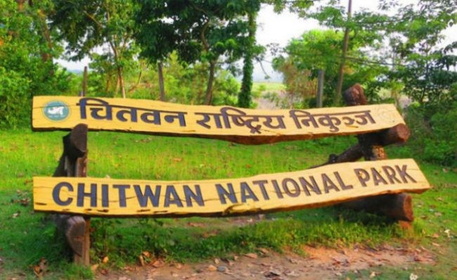 एक वर्षको अवधिमा चितवन निकुञ्जमा ८३ वन्यजन्तुको ज्यान गयो