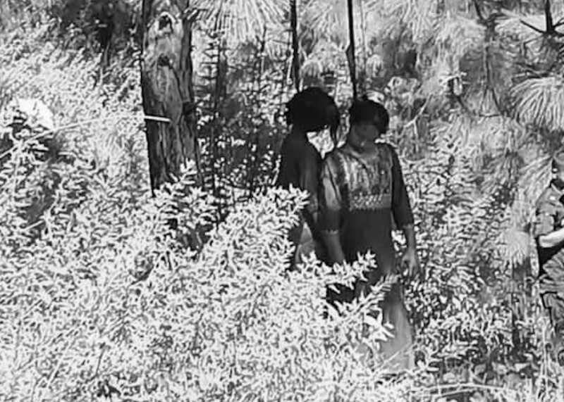 अछाममा रुखमा झुन्डिएको अवस्थामा दुई किशोरी मृत फेला