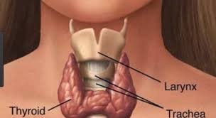 आज विश्व थाइराइड दिवस