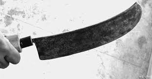 छुरा प्रहार गरी बुबाको हत्या गरेको आरोपमा छोरा पक्राउ