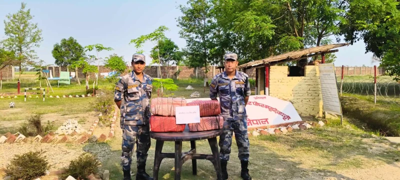  जिराभवानीबाट ४३ किलो अवैध गाँजा बरामद