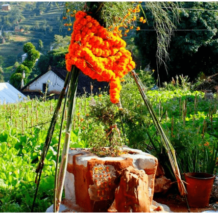 आज देशभर हरिशयनी एकादशी श्रद्धापूर्वक मनाइँदै