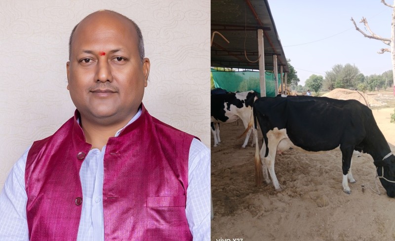 ठोरीमा अलपत्र गाईको उद्धार गर्न  मुख्यमन्त्री सिंहले दिए निर्देशन