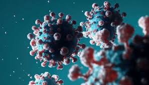 भारतको दिल्ललीमा कोरोना संक्रमित सङ्ख्य एक सय ४ पुग्यो 