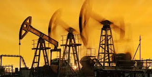 तेलको भाउमा स्थिरता 