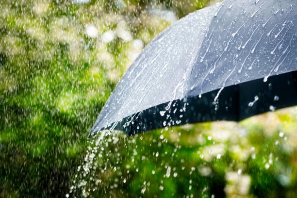 देशका विभिन्न स्थानमा भारी वर्षा, सबैभन्दा बढी कास्कीमा 