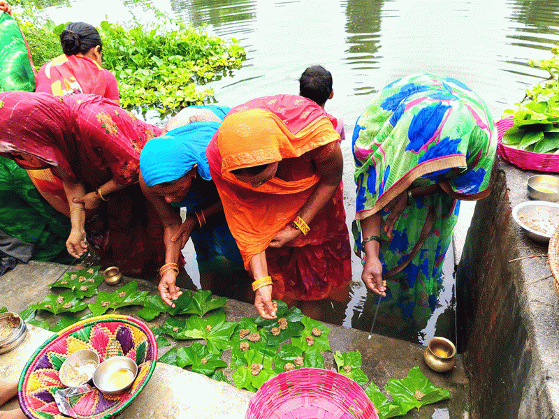 आज जितिया पर्वको ‘ओगटन’ 