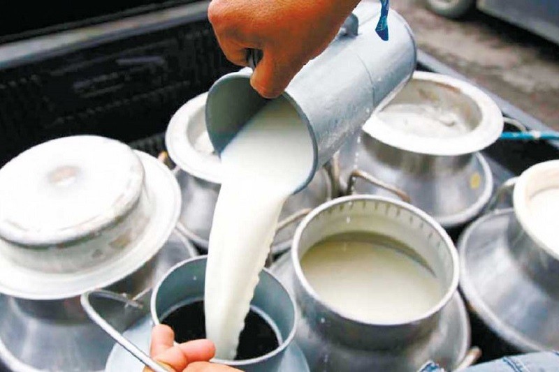 दुग्ध विकास संस्थानका उत्पादन सबै वडामा बिक्री गर्ने व्यवस्था मिलाउन माग