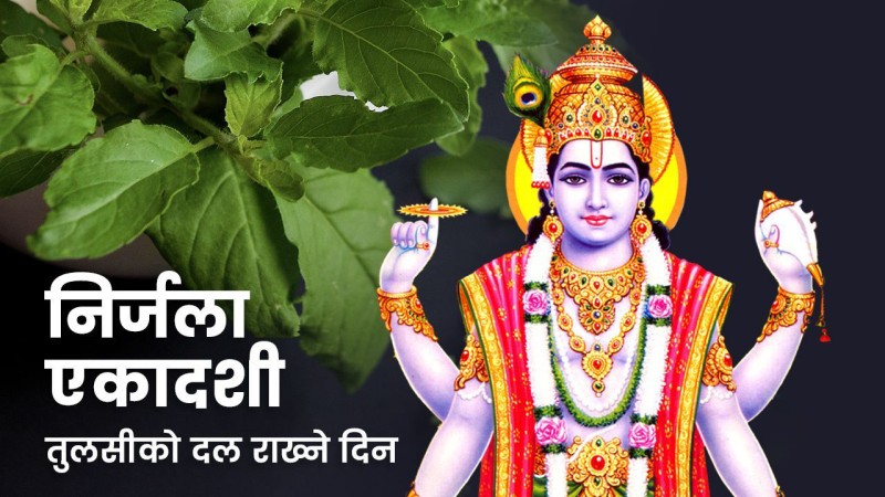 आज निर्जला एकादशी : घरका मठमा तुलसीको दल राखिँदै