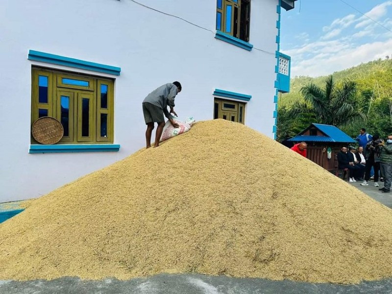 भारतबाट २० अर्ब ३५ करोड ७० लाख रुपैयाँको धान आयात