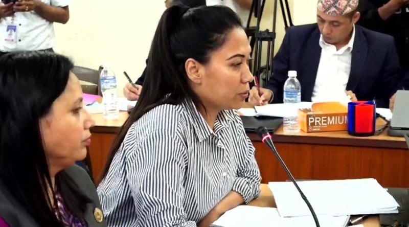 विद्यालय र विश्वविद्यालय बन्द गर्न नपाउने प्रावधान विधेयकमा राख्न सुझाव : सुमना श्रेष्ठ