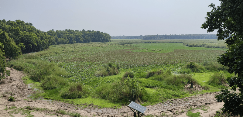 शुक्लाफाँटा निकुञ्जका ताल सुक्दै, जलवायु संकटको प्रत्यक्ष प्रभाव